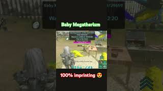 BABY MEGATHERIUM FULL IMPRINTING  ARK MOBILE  arksurvivalevolved arkmobile mythicxgaming ark [upl. by Ydisac377]