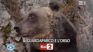 IL GUARDAPARCO E LORSO [upl. by Atiloj]