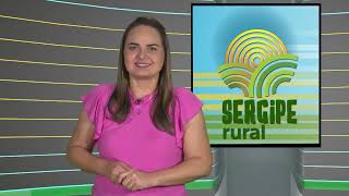 SERGIPE RURAL  PROGRAMA 482 [upl. by Augie526]