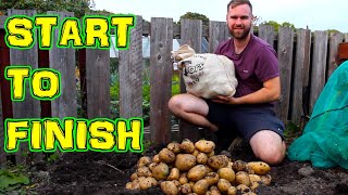 Growing Potatoes from Start to Finish  In a UK Allotment [upl. by Poyssick]