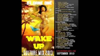 Wake Up  Reggae amp Culture Mix 2013  ChronixxGyptianJah cureIOctaneKabaka Pyramid [upl. by Ydnar]