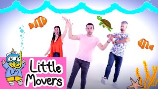 BEAN BAG DANCE FOLLOW ALONG  KIDS DANCE  Little Movers Prop Dance  Childrens Follow Along [upl. by Renault]