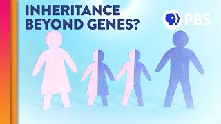 Is Epigenetic Inheritance Real [upl. by Aidul]