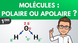 Déterminer la polarité dune molécule  Première  PhysiqueChimie [upl. by Nnylrac]