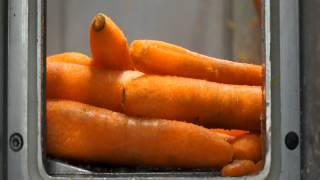 Peeling carrots with a Sammic potato peeler [upl. by Eiramacissej]