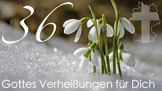 Gottes Verheißungen für Dich  Johannes 1028  Videokalender 36365  Deutschland braucht JESUS [upl. by Aseiram]