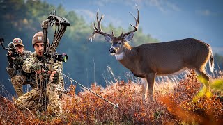 Chasing Bucks in the Mountains  November Spot and Stalk Hunt [upl. by Aisel]