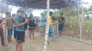 3°FASE TORNEIO DE PETECA NO SÍTIO BIGODE EM CUSTÓDIA PERNAMBUCO BRASIL [upl. by Htiderem]