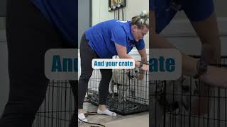 STOP Crate Barking With THIS Tip [upl. by Jacki573]