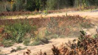 ATVing in Ontario Canada [upl. by Eltsyrc562]