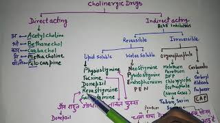 Cholinergic Drugs [upl. by Veno]