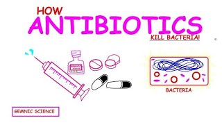 Antibiotics Explained How They Kill Bacteria and Fight Infectionsquot [upl. by Losyram]