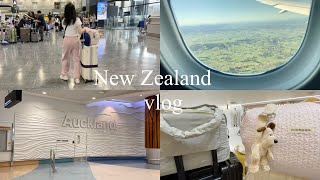 nzワーホリ飛行機vlog 成田空港 ニュージーランド航空 [upl. by Anissa]