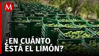 Comerciantes en la Central de Abasto CdMx afectados por extorsiones al limón [upl. by Ennayd]