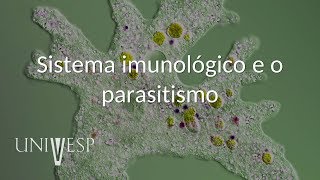 Parasitologia  Aula 03  Sistema imunológico e o parasitismo [upl. by Sheeree]