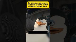 Ce pingouin fait semblant d’être mort [upl. by Harrell]