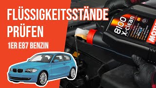 Die Flüssigkeitsstände prüfen BMW 118i E87 📏 [upl. by Pacien]