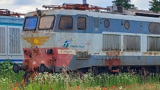 Treni Abbandonati e Accantonati allEx Scalo Merci di Verona Porta Nuova  Caimano E656 E652 Tigre [upl. by Melquist]