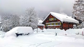 Heavy snowfall in Klosters ❄️ Switzerland 4K 🇨🇭 [upl. by Sutherlan]