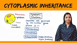 Cytoplasmic inheritance  Maternal Inheritance  Maternal Effect [upl. by Leatri839]