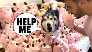 Surprising Meeka With 1000 Toys SHE GOT SCARED 😱 [upl. by Zoi]