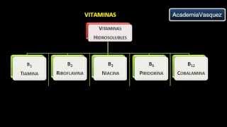 Vitaminas Historia Estructura y Clasificación [upl. by Anavlis]