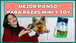 MEJORES PIENSOS PARA PERROS PEQUEÑOS🙌  Aprende a ESCOGER el MEJOR pienso para tu perro MINI o TOY 👌 [upl. by Calisa]