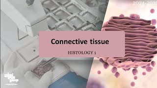 CONNECTIVE TISSUE  Histology 1  Lec 4 [upl. by Cesar]