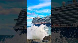 MS Rotterdam 🛳️⚓️like share comment subscribe cruiseship cruise vacation shorts short wow [upl. by Airyt]