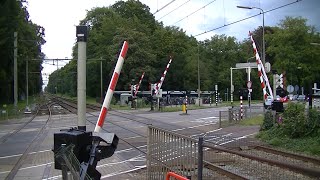 Spoorwegovergang DriebergenZeist  Dutch railroad crossing [upl. by Anidene]