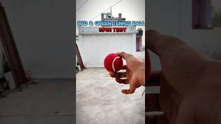 Red and tennis ball Spin test tutorial spinbowling testing tutorial [upl. by Victorie]