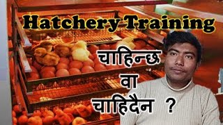 Is Hatchery Training needed Abiram AgroTech 977 9801041587 [upl. by Papp438]