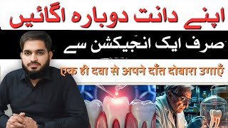 Regrow your teeth  اپنے دانت دوبارہ اگائیں  with single medicine in Urdu  Hindi drmuneermalik [upl. by Jinny]