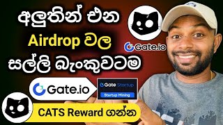 How to Create Gateio account SinhalaCats Startup mining event  Airdrop Sinhala  2024  SL Costa [upl. by Eikcuhc]