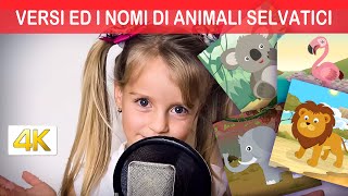 Versi ed i nomi dei 68 animali selvatici in italiano  Qualità 4K [upl. by Tigirb]