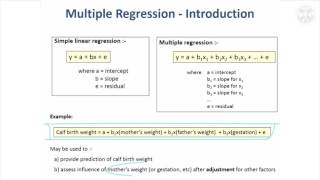 19 Introduction to Multiple Regression amp Logistic Regression [upl. by Moriah]