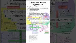 Congenital adrenal hyperplasia [upl. by Chere]