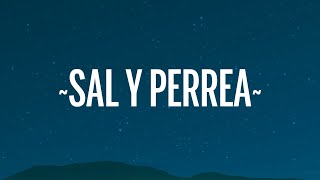 Sech  Sal y Perrea LetraLyrics [upl. by Leziar]