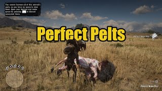 RDR2 Mods Perfect Pelts [upl. by Rogerson501]