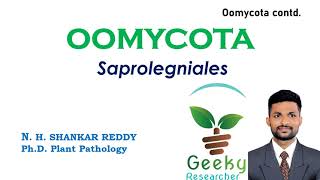 Lec 19 Oomycota Saprolegniales  Mycology  Plant Pathology  BScMSc Agriculture [upl. by Huda]