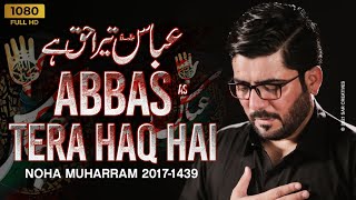 Abbasas Tera Haq Hai  Mir Hasan Mir  New Noha 2017 1439 HD [upl. by Nimoynib]