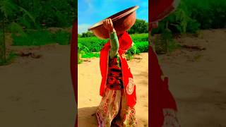 rajasthanisong rajasthan marwadisong marwadistatus shortsfeed shortsvideo rajasthani dance [upl. by Neyu499]