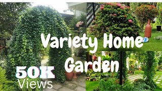 Home Garden tour Malayalam  Indoor and outdoor plants ll Auto Garden [upl. by Warde582]