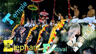 Paripally  Gajamela  Festival  Sree Bhagavathy  Temple  Elephant  Kerala  07 shailpoints [upl. by Meri417]