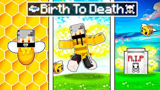 The BIRTH to DEATH of a Minecraft Bee 😱 Hindi [upl. by Saravat]