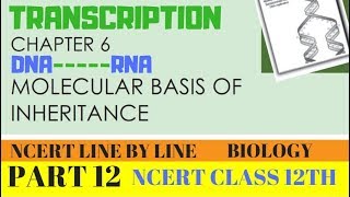 PART12TRANSCRIPTIONCHAPTER 6 NCERT CLASS 12TH BIOLOGY [upl. by Nawed]