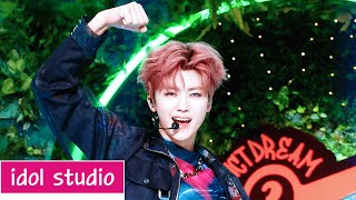 NCT DREAM 엔시티 드림 ISTJ 교차편집 Stage Mix [upl. by Sikes]