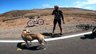 Chañaral de Aceituno en Bicicleta desde vallenar [upl. by Sosthena]