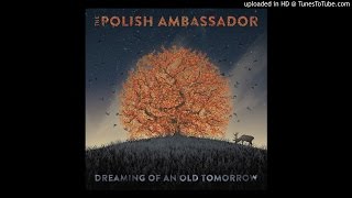 Never Coming Down ft Pharroh  Dreaming of an Old Tomorrow  The Polish Ambassador [upl. by Ettezil]