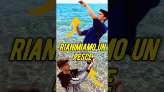 Rianimiamo un pesce del supermercato🐟 trending trend perte foryou fyp neiperte [upl. by Terrene]